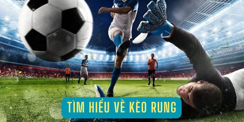 Một số phương thức cá độ Running Ball ấn tượng