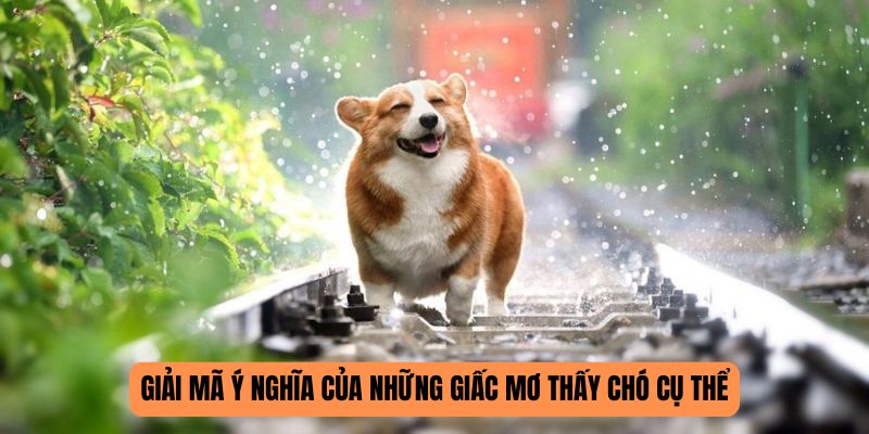 Giải mã ý nghĩa của những giấc mơ thấy chó cụ thể